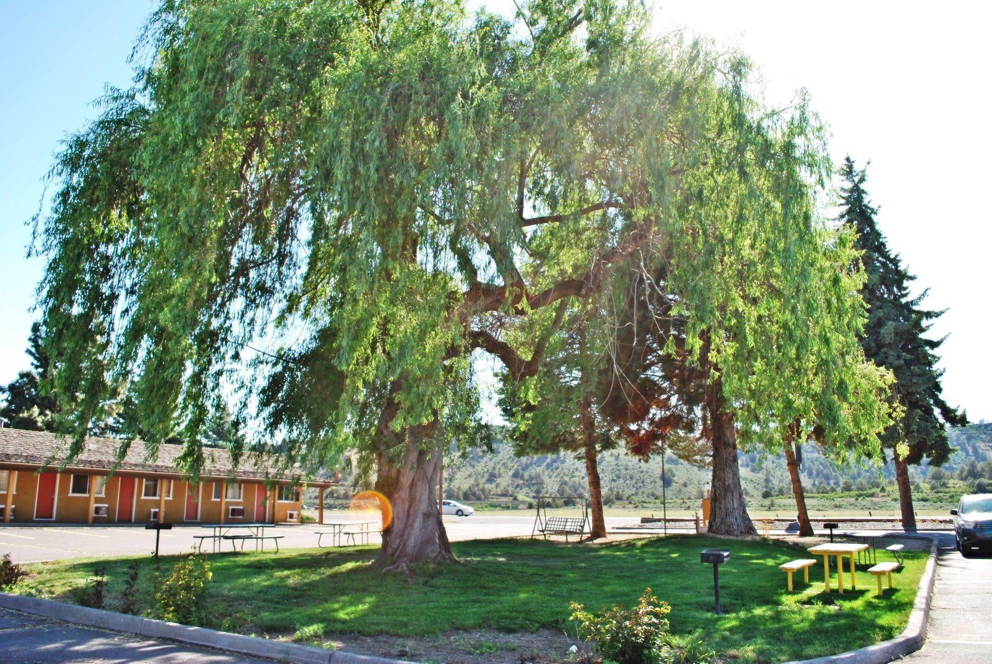Oregon Motel 8 And Rv Park เคลมัทฟอลส์ ภายนอก รูปภาพ
